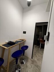 Skyline Residences (D4), Condominium #443869581
